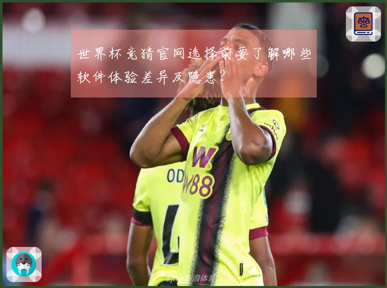 世界杯竞猜官网选择前要了解哪些软件体验差异及隐患？